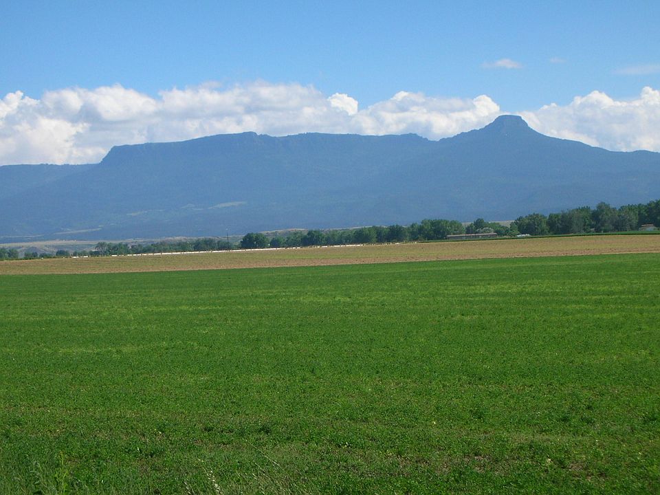 1st image of 42521 County Road 36 #0