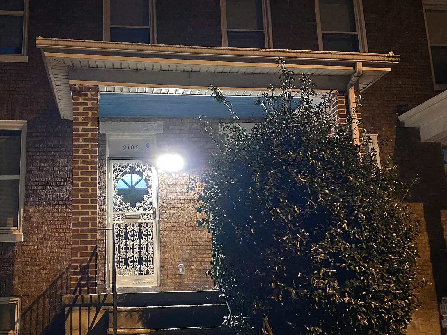 1 bed, $750 — Photo 2