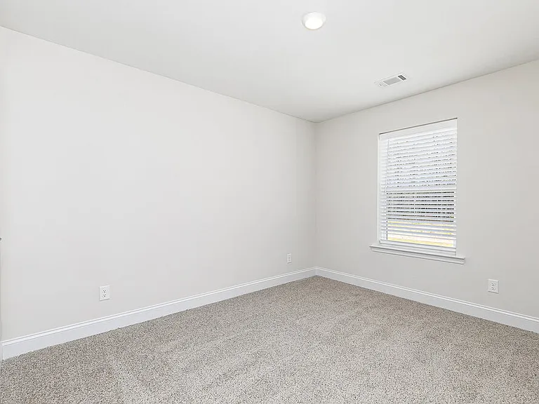 104 Cantrell Path — Photo 12