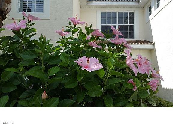3rd image of 10130 Colonial Country Club Blvd APT 703