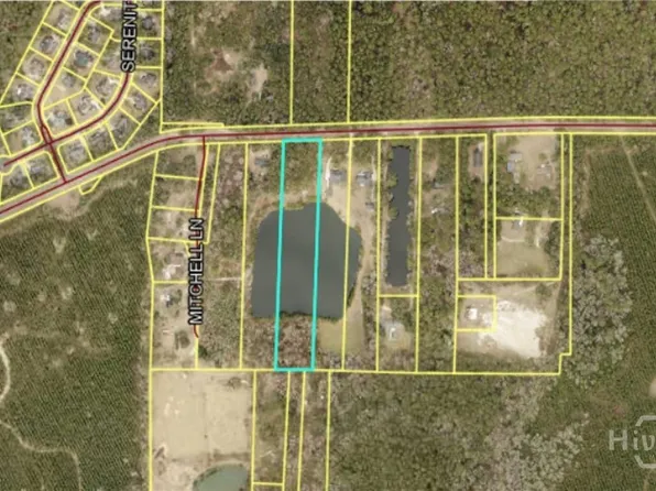 1954 Oak Level Road, Richmond Hill, GA 31324