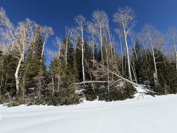 370 N Arrowleaf Dr, Brian Head, UT 84719