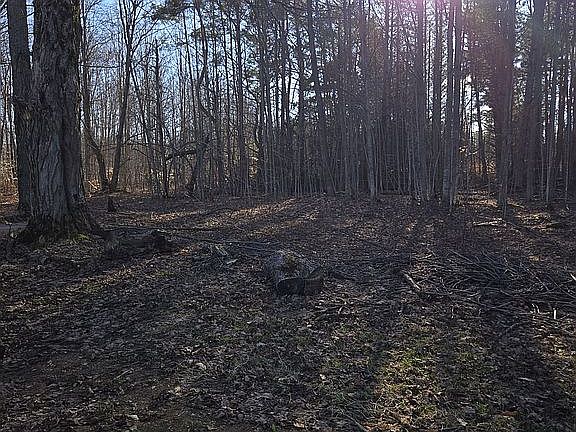 5th image of 8522 Bocook Rd