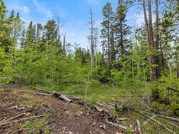 5th image of 336 Blue Spruce Road