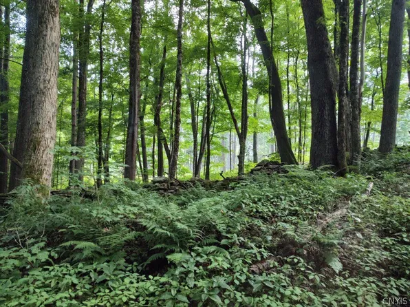 0 Shingle St #4, Cincinnatus, NY 13040