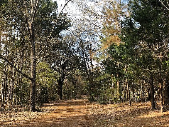 3rd image of 15192 County Road 1113