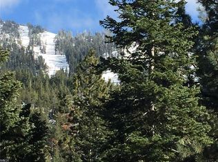 1378 Tirol Dr, Incline Village, NV