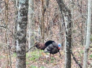 2 Wildwood Ln, Whittier, NC 28789