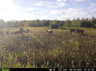 V/l 120ac Bolton Rd, Posen, MI 49776