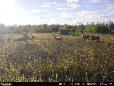 V/l 120ac Bolton Rd, Posen, MI, 49776