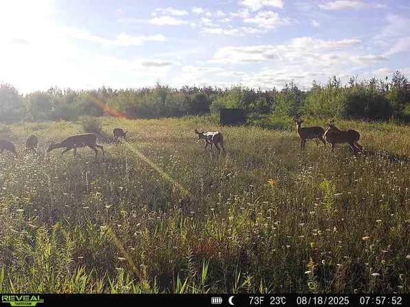 V/l 120ac Bolton Rd, Posen, MI 49776