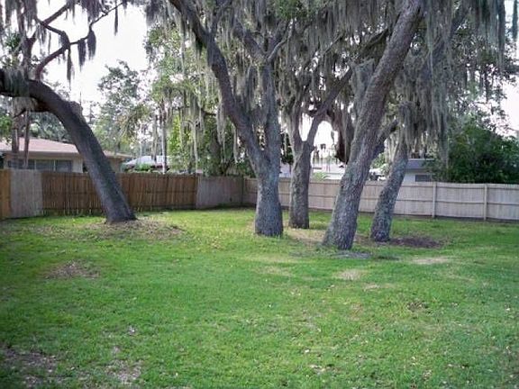 Large Back yard