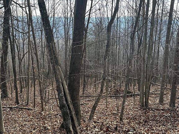 2nd image of 616 Chimney Rock Rd