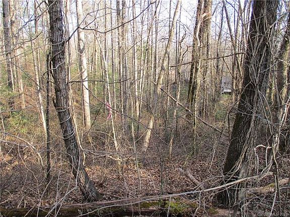 3rd image of 256 Burge Mountain Rd