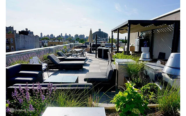 Rented by Douglas Elliman | media 10