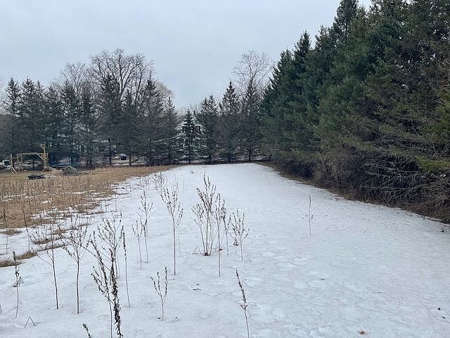 2nd image of 0 Gale Ave