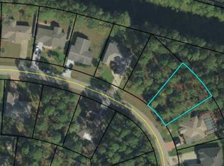 113 Putter Dr, Palm Coast, FL 32164