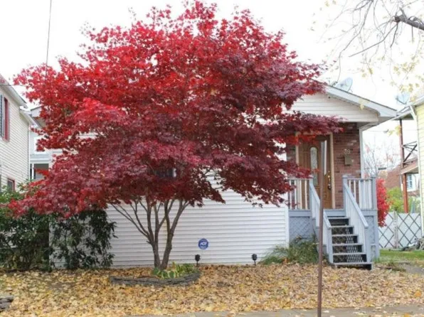 39 S Thomas Ave, Kingston, PA 18704