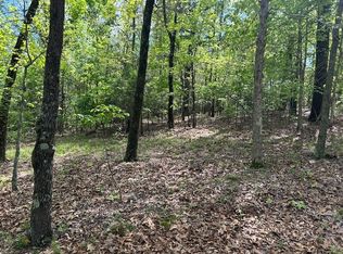 166 Mallard Ter, Flippin, AR 72634