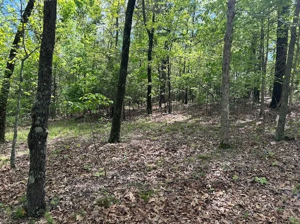 166 Mallard Ter, Flippin, AR 72634