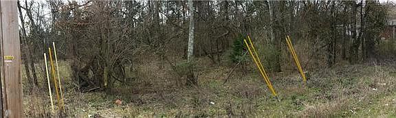 4th image of 1 Ligon Dr Lot 1