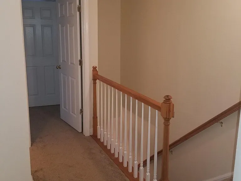 Upstairs hall between Master and 2 other bedrooms and stairs. This carpet is 7 months old. Paint is 7 months old.