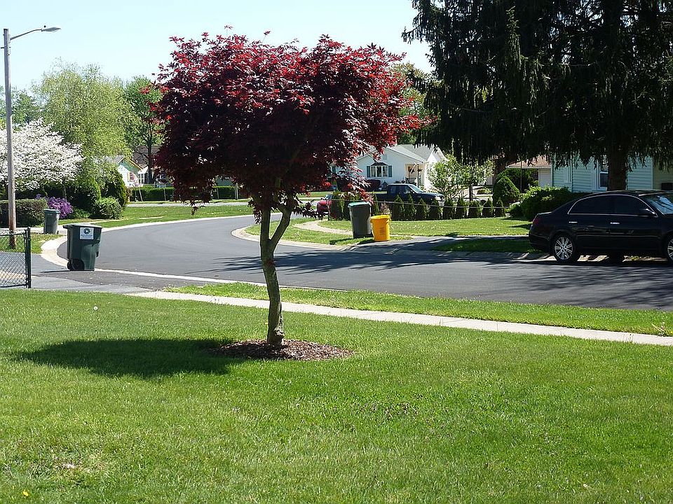 2nd image of 9 Saint John Dr