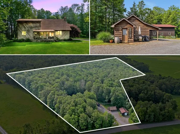 266 Atswell Rd, Richfield Springs, NY 13439