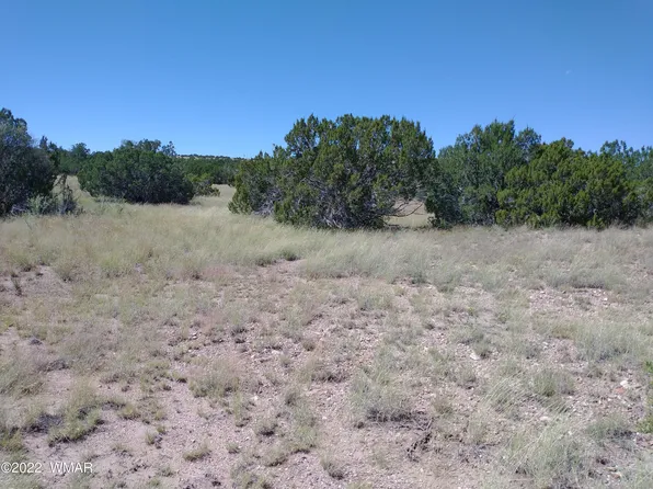147 Concho Hwy, Concho, AZ 85924