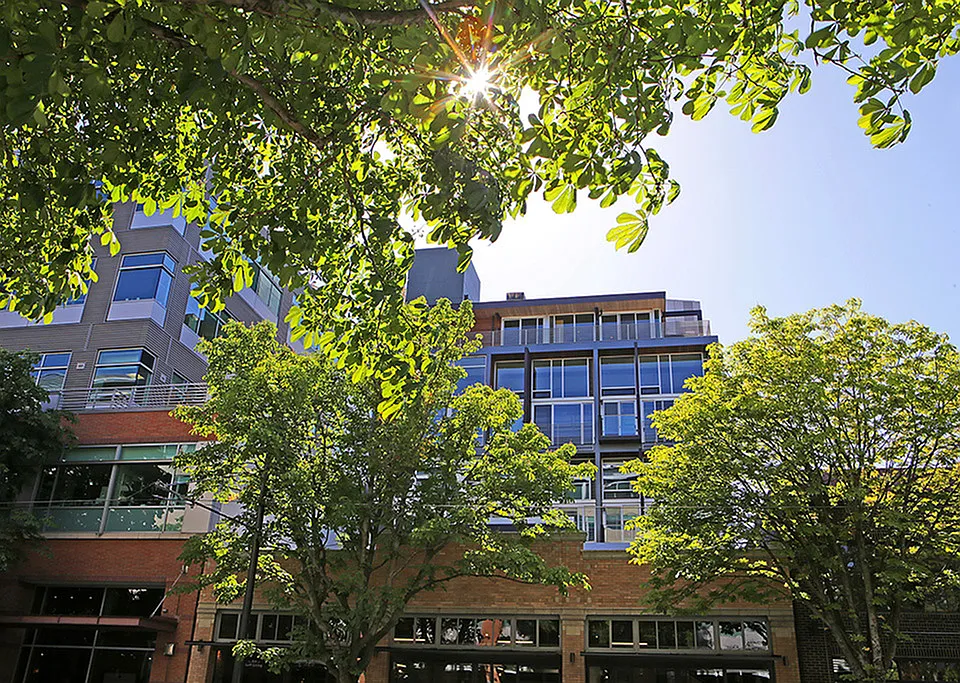 The Lofts at 325 Westlake