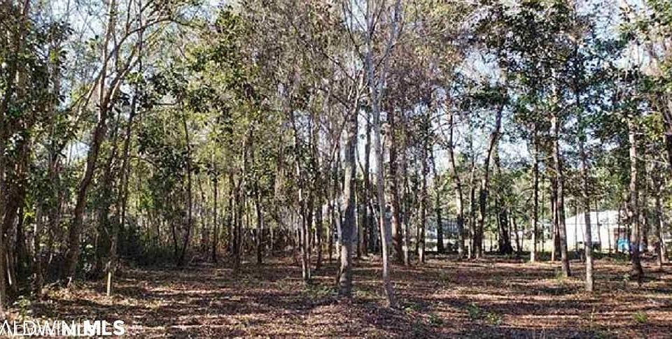 1st image of 0 Park Ln