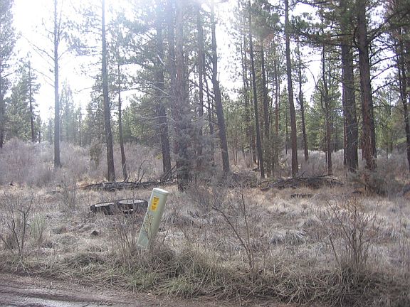 5th image of Klamath Forest Dr Lot 1