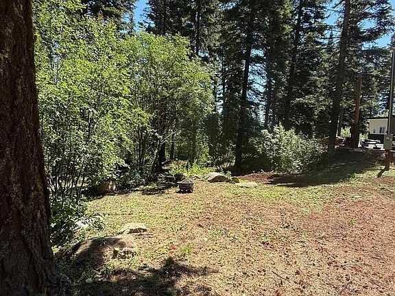 2nd image of 1204 Porcupine Rd