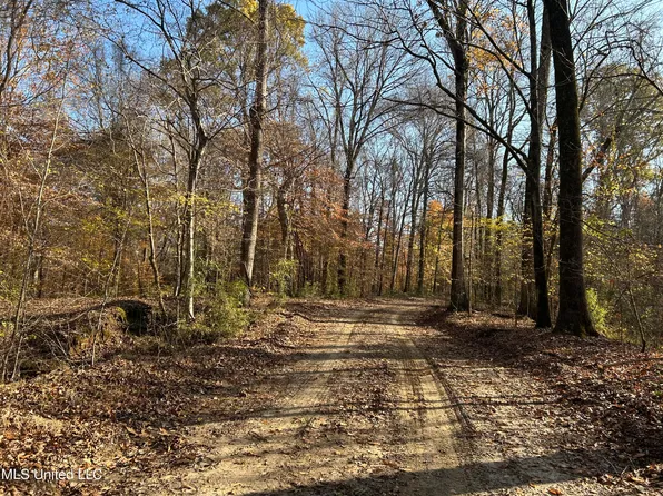 Henderson Rd, Bentonia, MS 39040