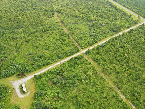5th image of 795 Pollard Swamp Road