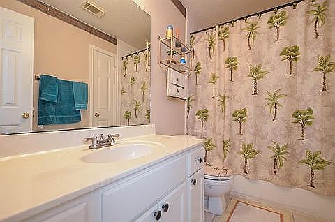 5th image of 3010 Hollow Creek Dr