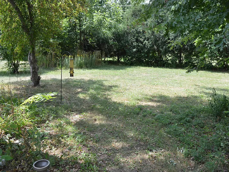 419 Dallas St — Photo 24