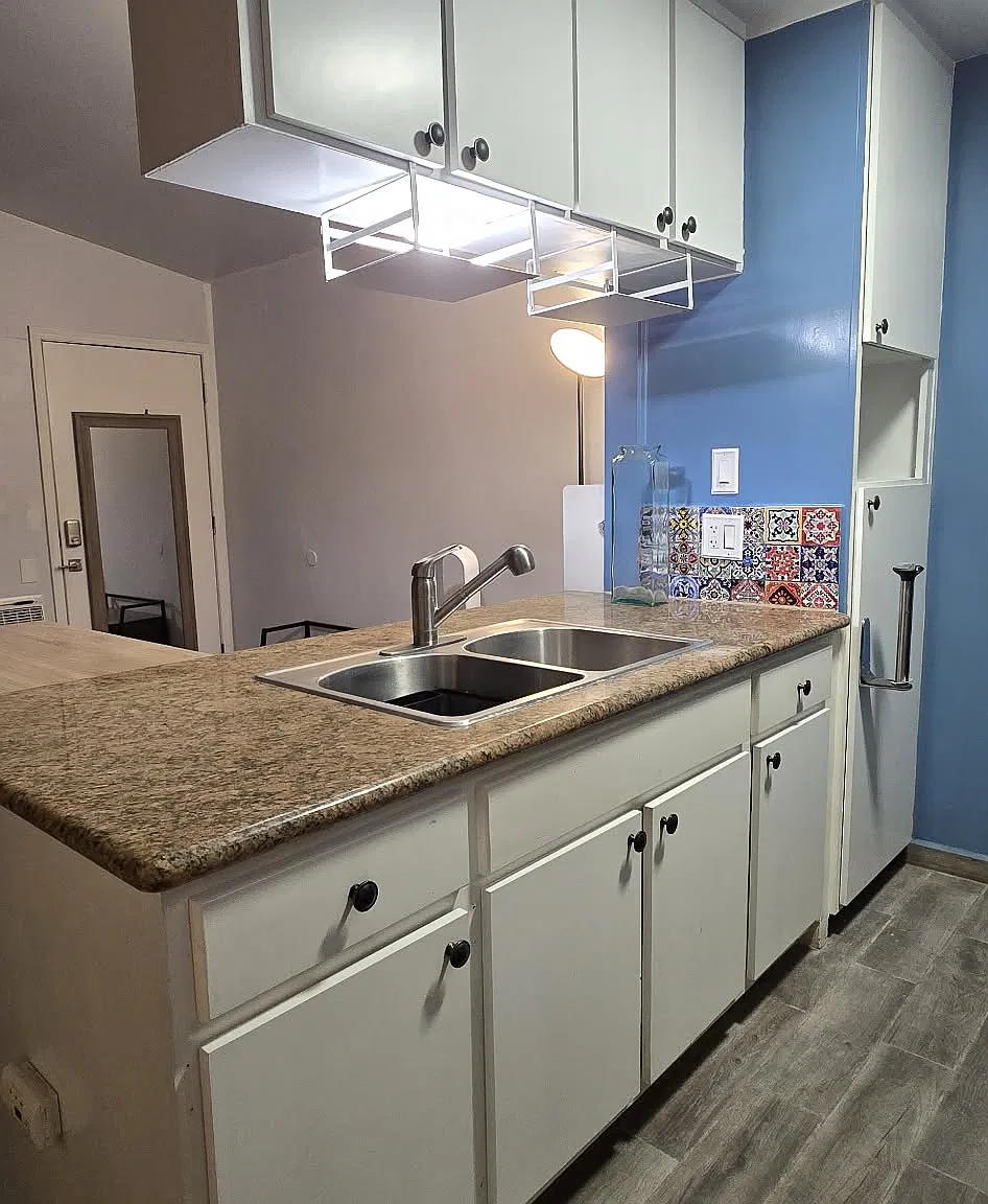 Studio, 415 sqft, $1,650 — Photo 2