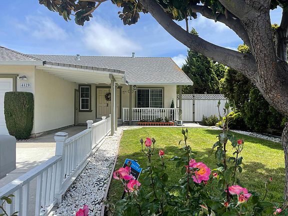 Nicely manicured front lawn (Gardener included!) along with white stone border.