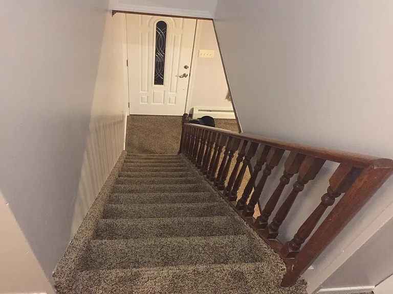 25 Plumtree Rd #1 — Photo 20
