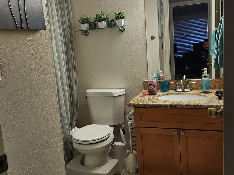 915 S Lola Ln — Photo 7