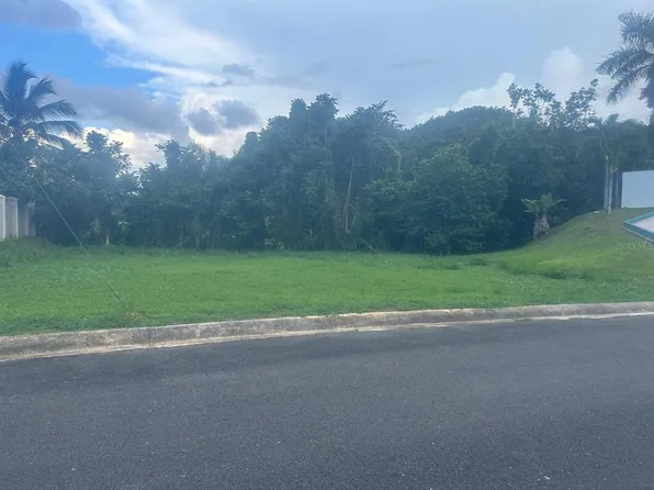 Ruisenor St #910, Barceloneta, PR 00617