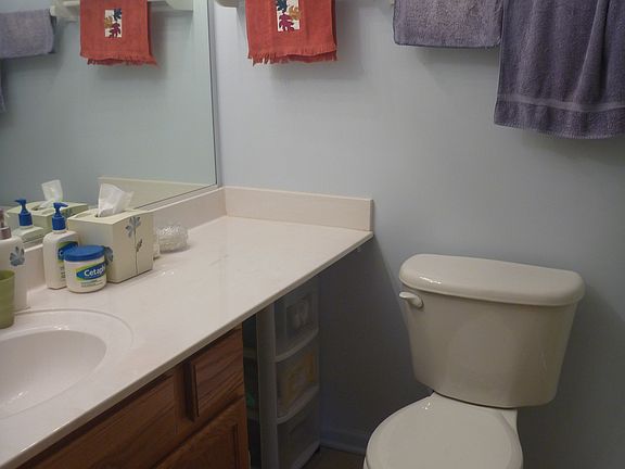 Master Bath (shower)
