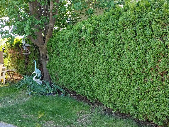 5th image of 415 Commonwealth Rd #219