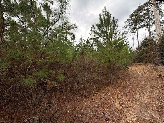 5th image of Bff Ii 4 Jc Barefoot Rd