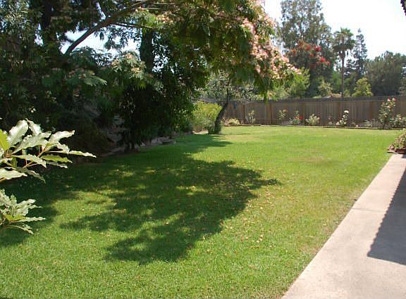 Expansive backyard - Huge grassy area... think pool, spa, garden, gazebo....