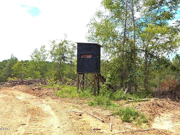 3rd image of 70 County Road 154