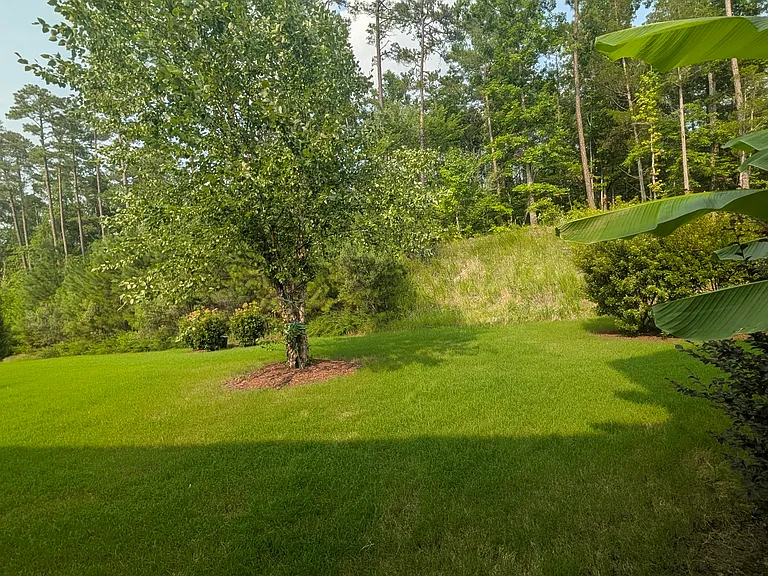 1628 Cary Reserve Dr — Photo 29