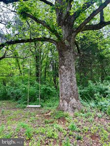 Cameron Rd, Gordonsville, VA, 22942
