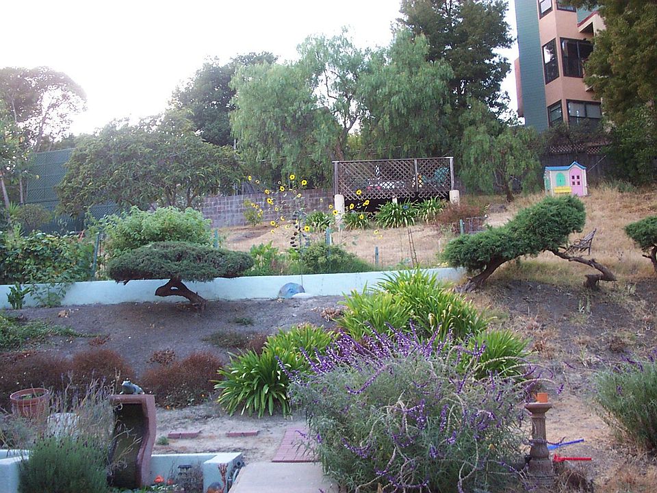 backyard looking up to deck